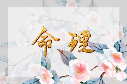 老皇歷 擇吉老黃歷皇歷 擇吉老皇歷