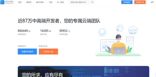 程序員如何利用軟件外包服務開展副業